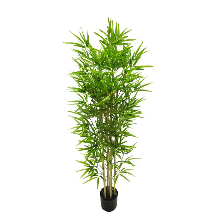 Pianta artificiale Bamboo