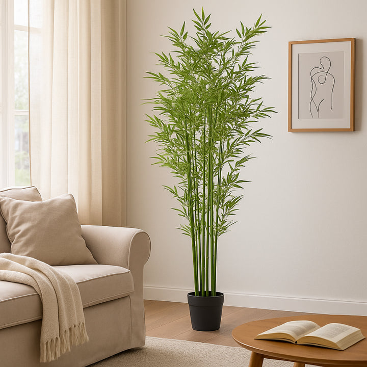 Bamboo Con vaso Altezza 210cm | EDG