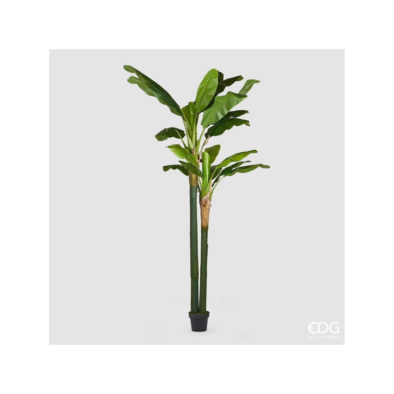 Pianta artificiale Banano con vaso EDG