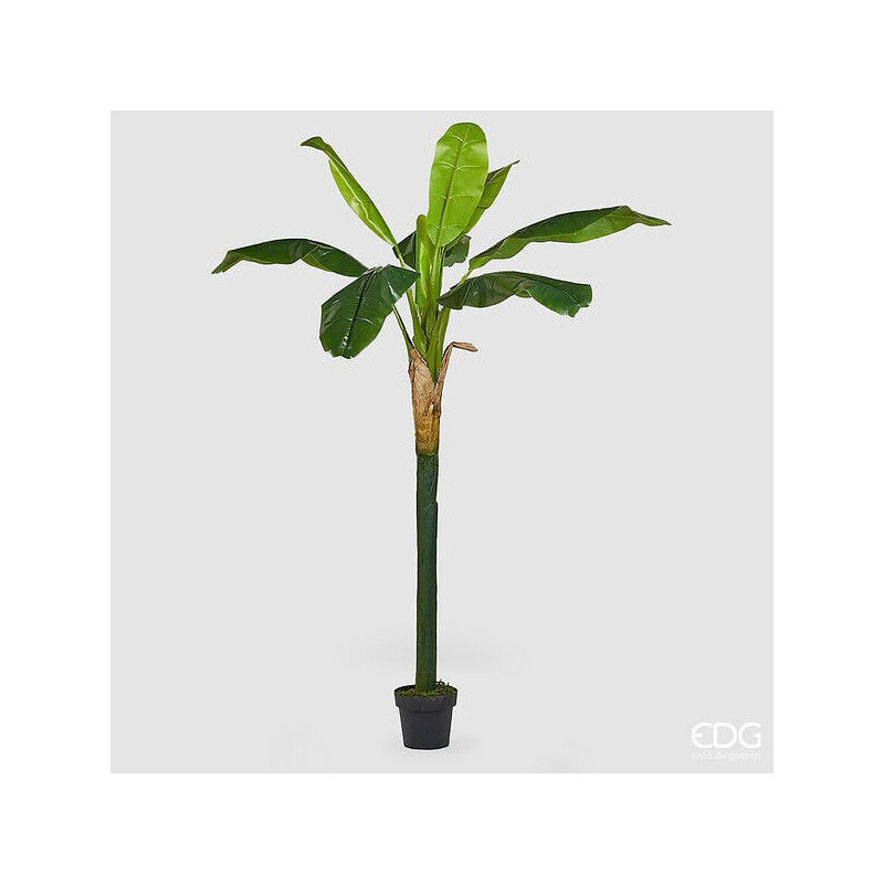Pianta artificiale Banano con vaso EDG