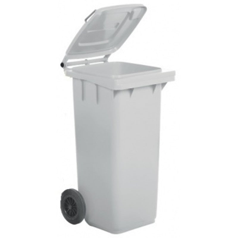 Bidone per raccolta differenziata 120 lt