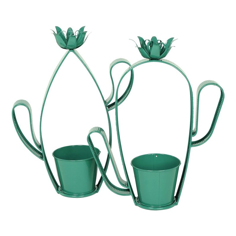 Cactus contenitore porta piante