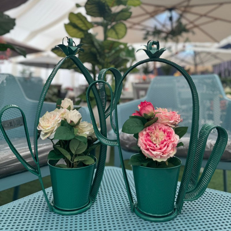 Cactus contenitore porta piante