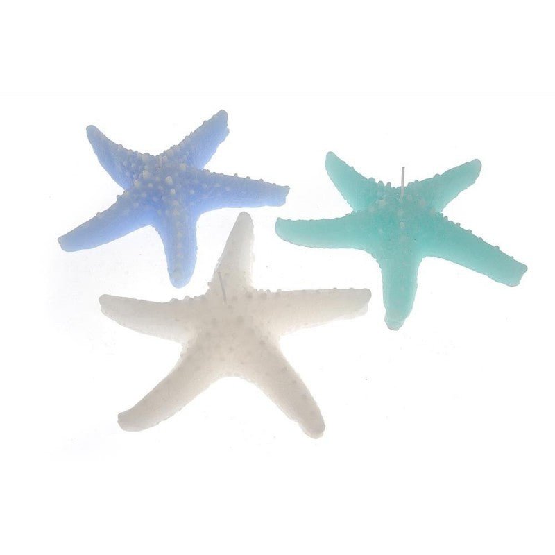 Candela profumata stella marina cm 23xh.6 colori e fragranze assortite - Perrone Shop