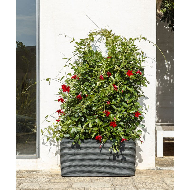 Vaso Cassetta Bali effetto corda 80 cm