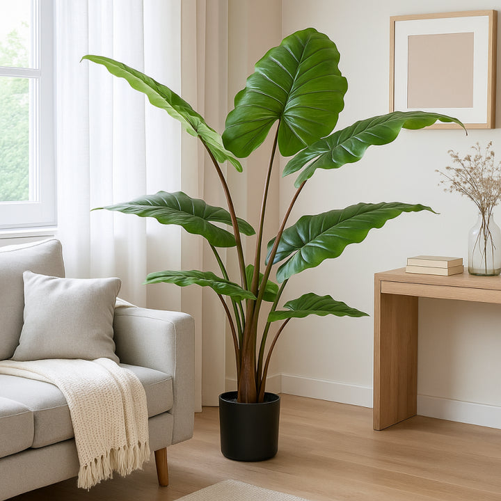 Chic Alocasia con Vaso 120cm | EDG