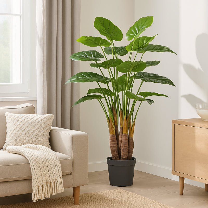 Pianta Chic Filodendro 120cm| EDG - Perrone Shop