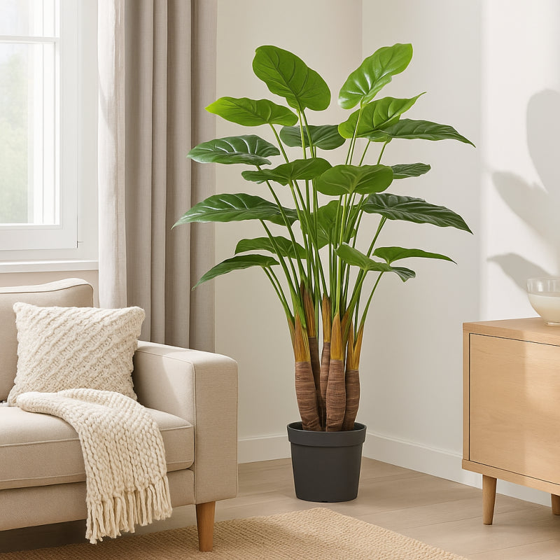 Pianta Chic Filodendro 120cm| EDG