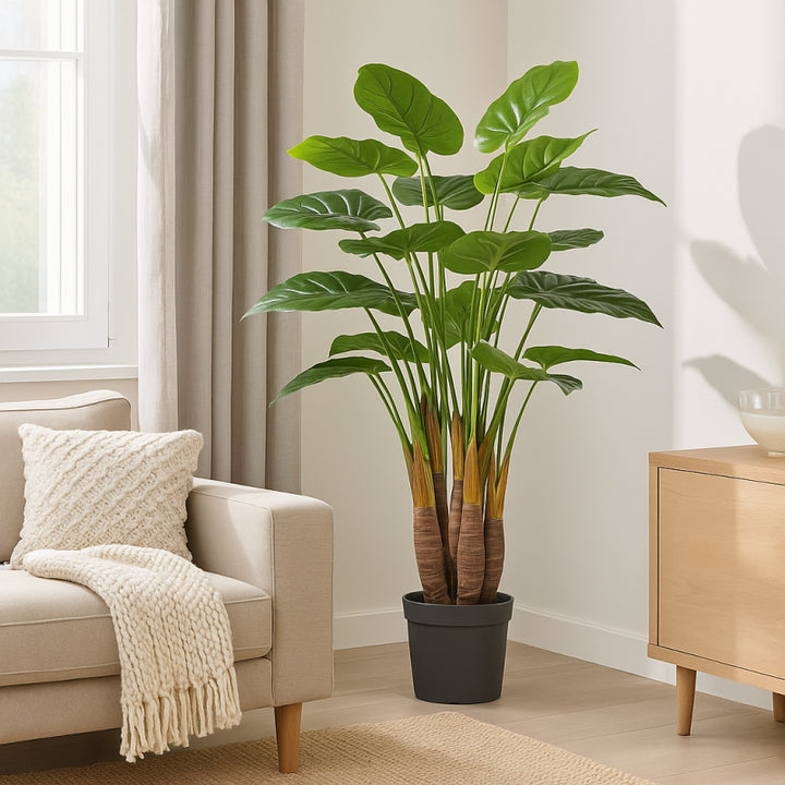 Pianta Chic Filodendro 120cm| EDG