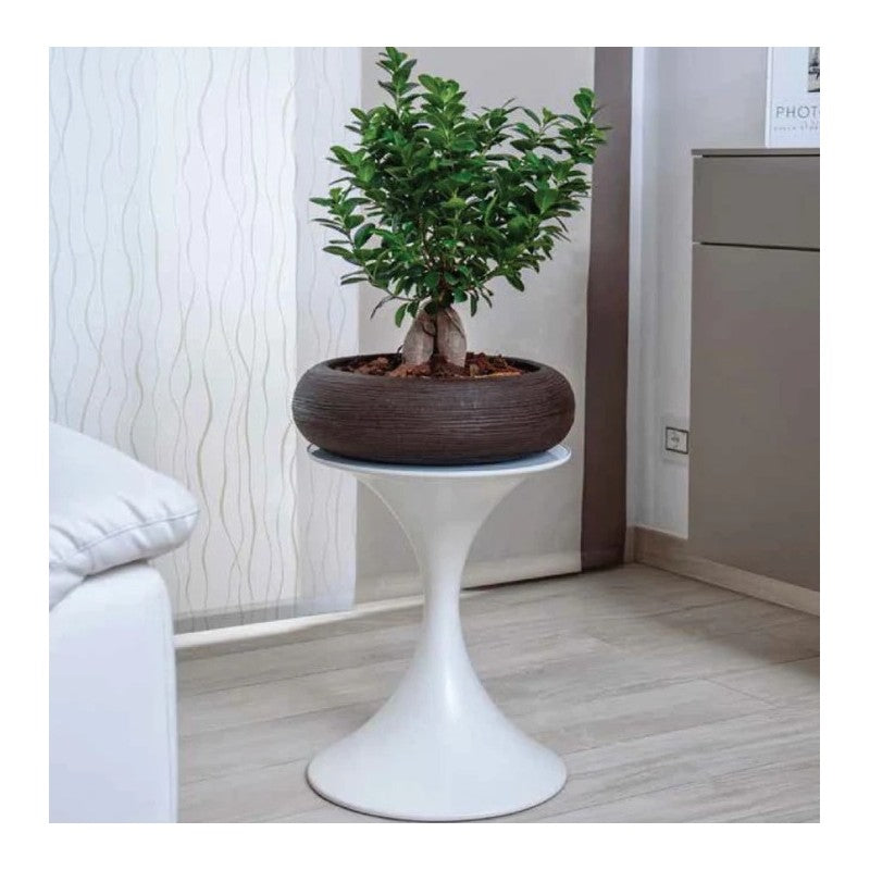 Vaso Ciotola ø35 cm Shabby Rigata Vasar