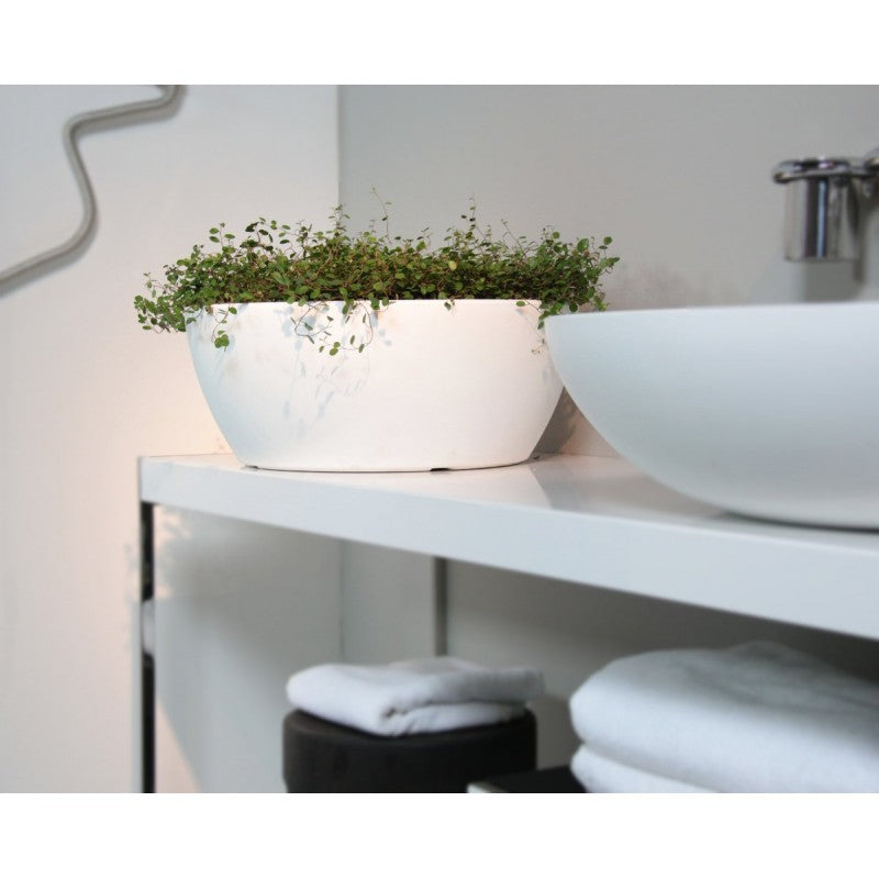 Ciotola Thetis bianca 40cm