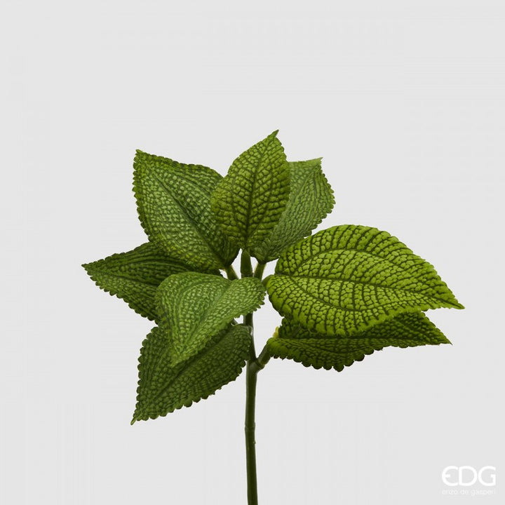 Coleus Bell Pick 24cm|EDG