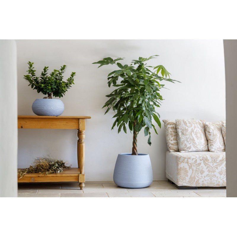 Conchino Bali effetto corda 35 cm