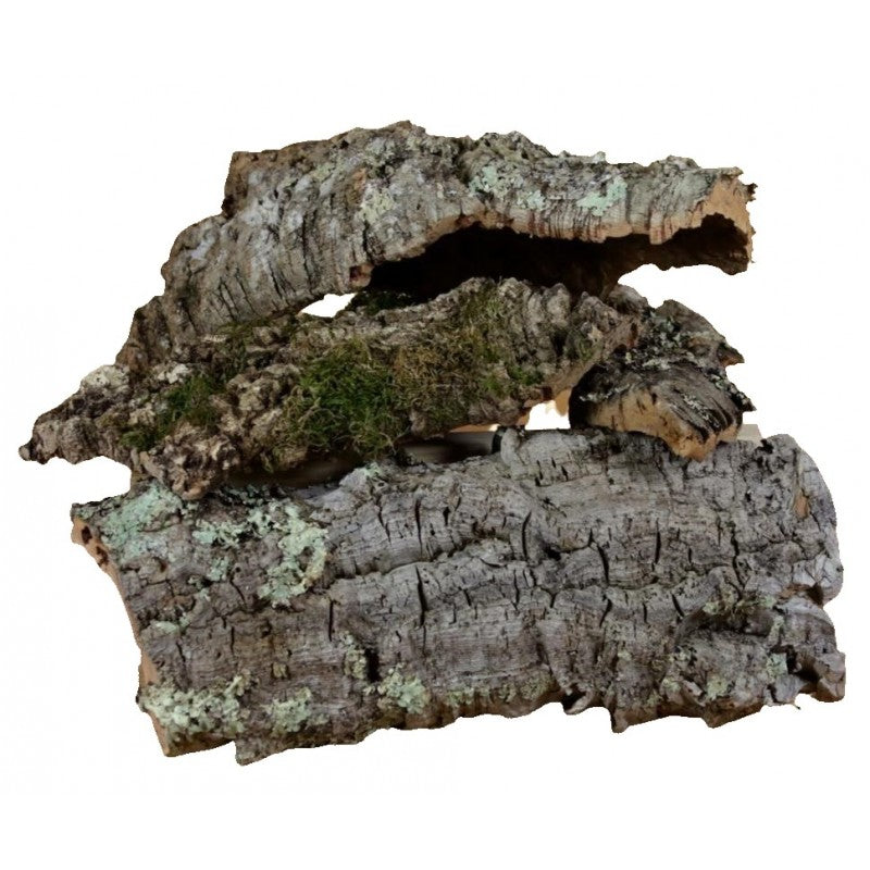 Corteccia in sughero Rossi Rosa