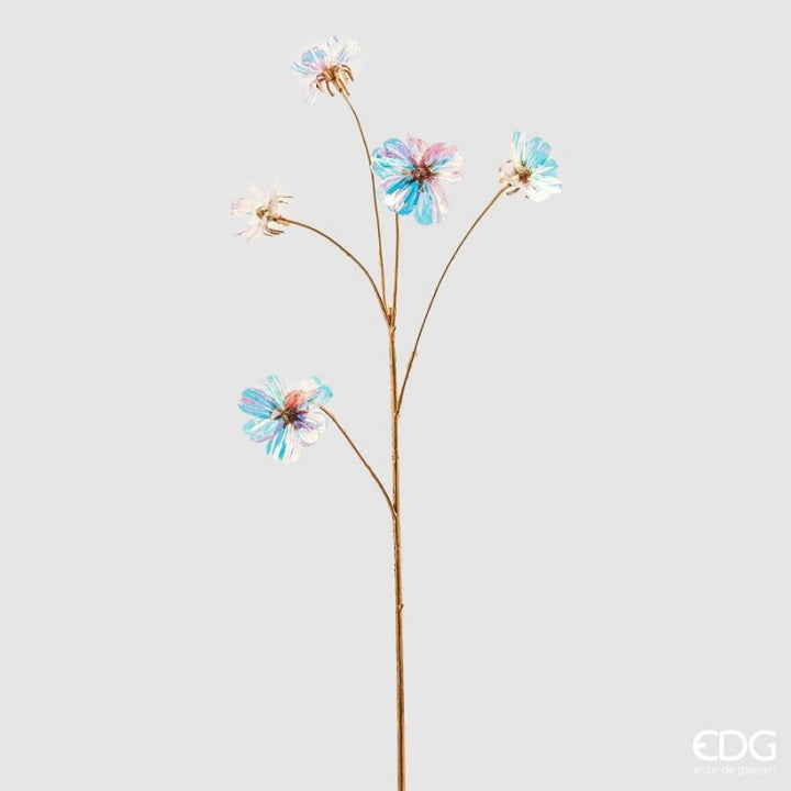 Cosmos Rex Reflex Ramo H65  | EDG