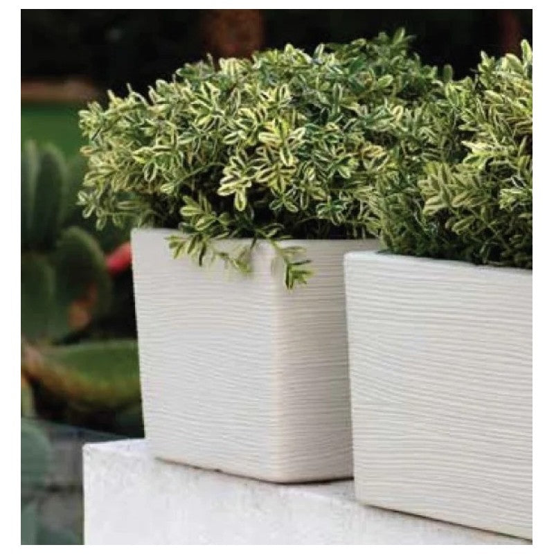 Vaso Cubri Rigato Shabby 35 Cm