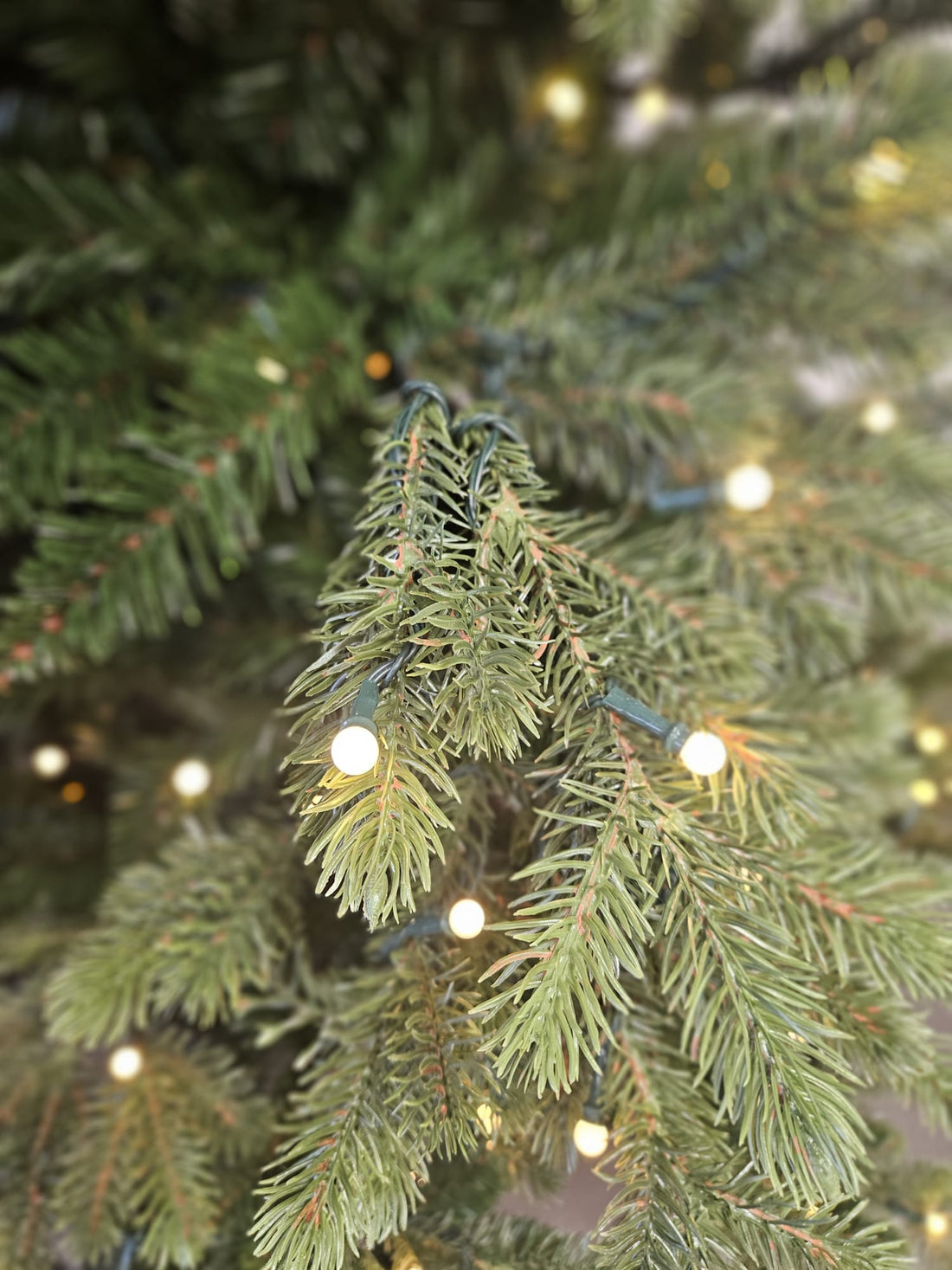 Albero Di Natale Golden Berry con Led integrati | Xone