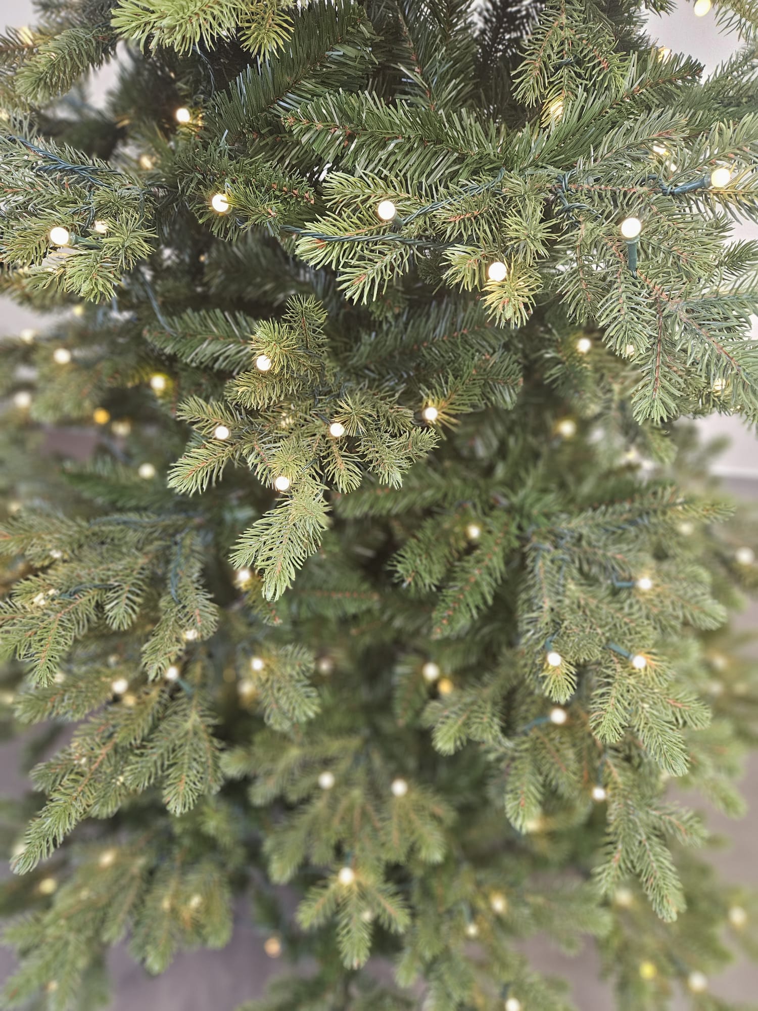 Albero Di Natale Golden Berry con Led integrati | Xone