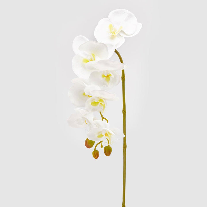 Orchidea artificiale Phalaenopsis Olisramo bianco x7 H85| EDG - Perrone Shop