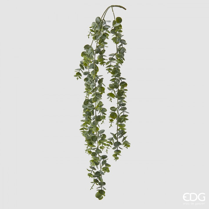 Pianta artificiale Eucalipto cadente 77h cm EDG