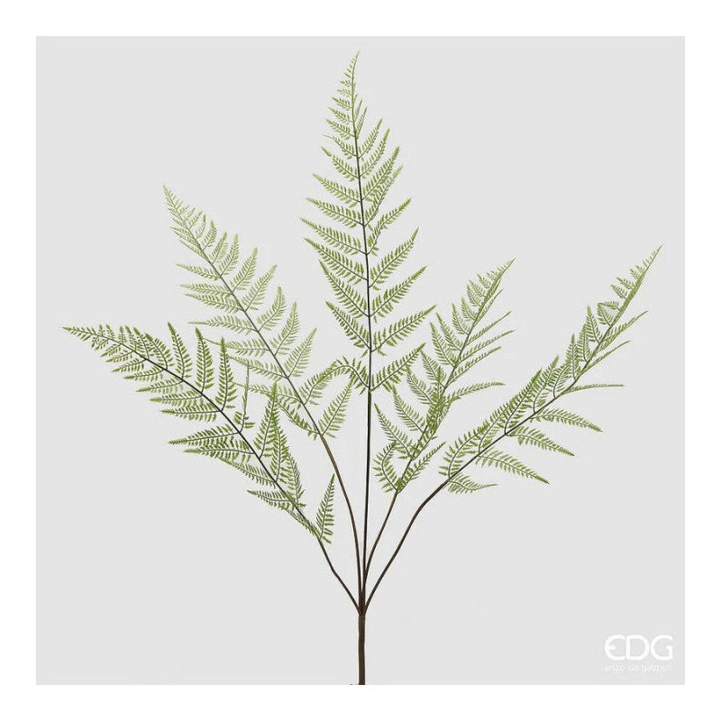 Felce Cespuglio H.97| EDG