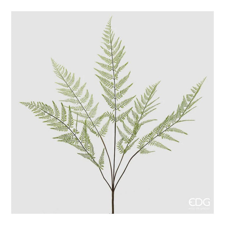 Felce Cespuglio H.97| EDG
