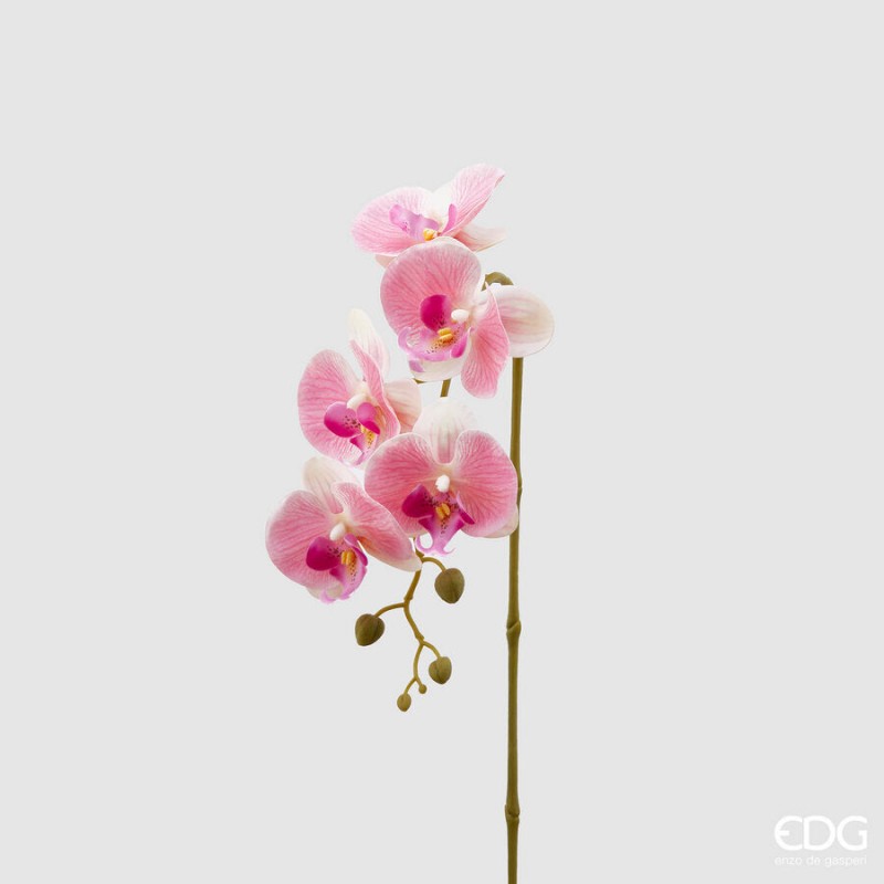 Fiore Artificiale Orchidea Phalolis Altezza 70 |EDG