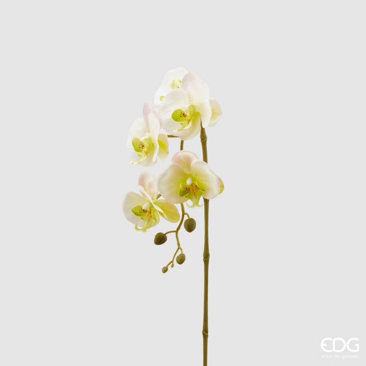 Fiore Artificiale Orchidea Phalolis Altezza 70 |EDG