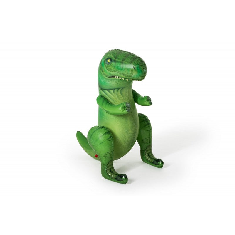 Gioco Dinosauro 99x76x122cm