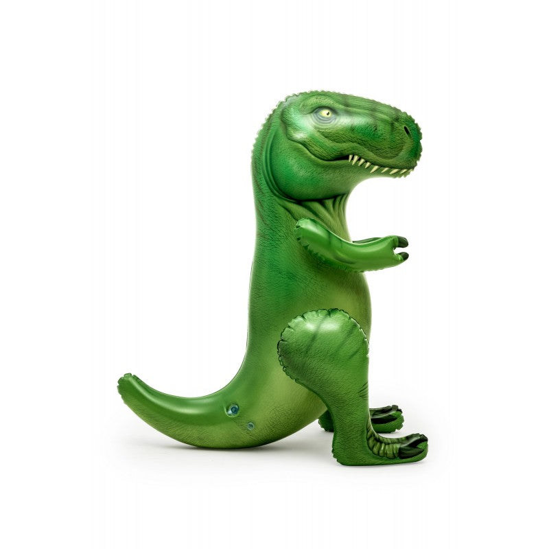 Gioco Dinosauro 99x76x122cm