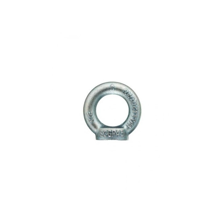 Golfaro femmina DIN 582 zincato