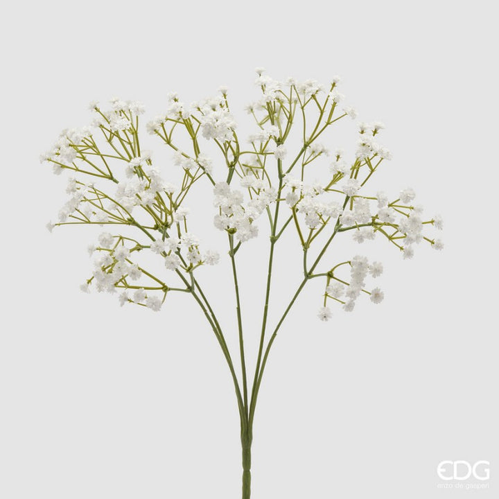 Gypsophila Cespuglio X5 Bianco| EDG