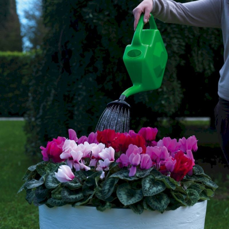 Innaffiatoio verde 5 lt