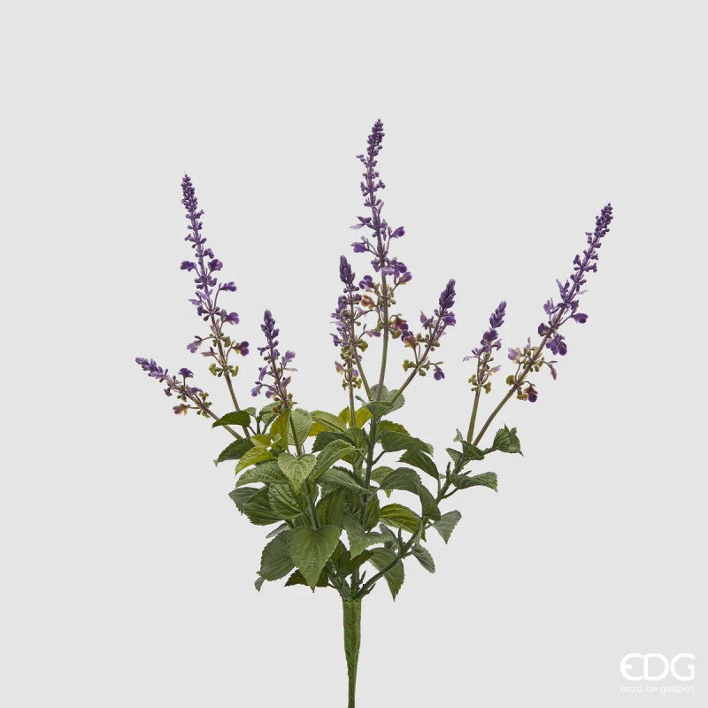 Mazzo di Lavanda con foglie| EDG