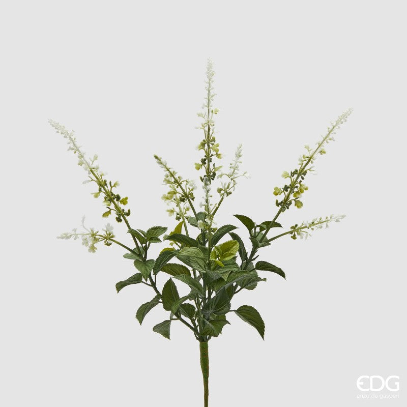 Mazzo di Lavanda con foglie| EDG