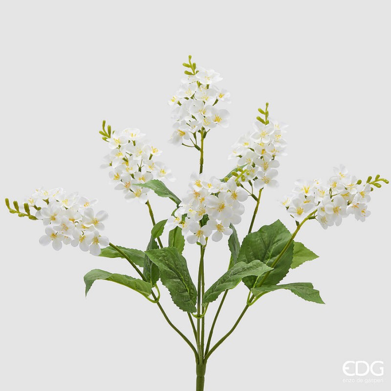 Lilla Cespuglio con foglie H.50  | Enzo De Gasperi