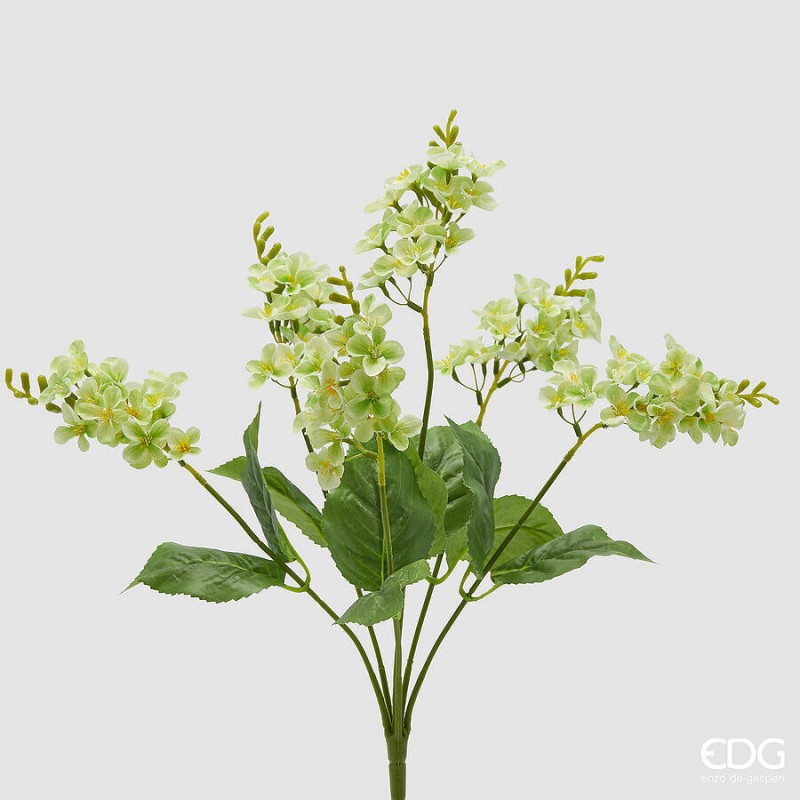 Lilla Cespuglio con foglie H.50  | Enzo De Gasperi