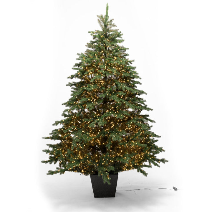 Albero di Natale Lord con vaso e Led integrati | Xone - Perrone Shop