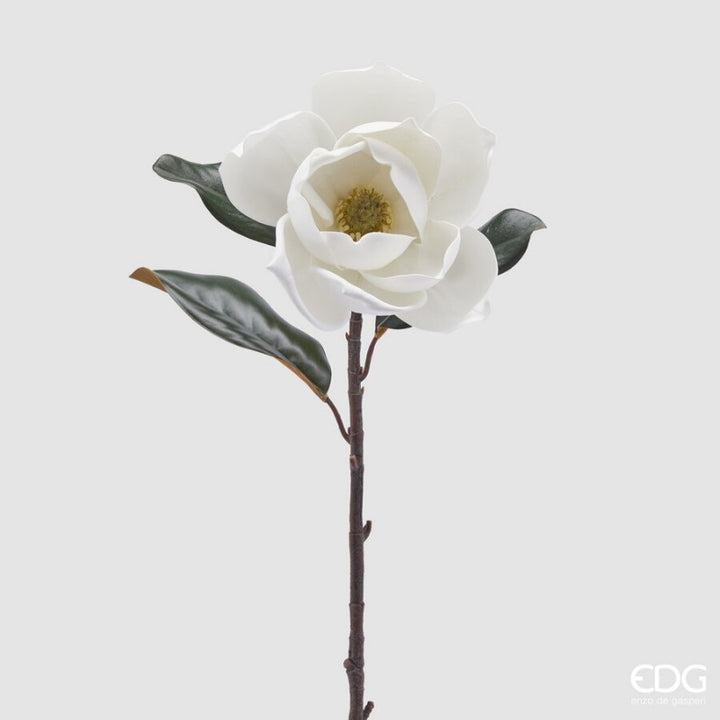 Magnolia Supreme con Foglie H73 Bianco | EDG