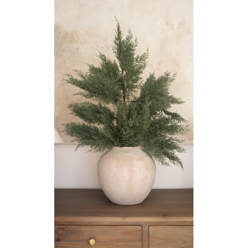 Mazzo Di Rami Di Cipresso Martin By Salvatore Izzo