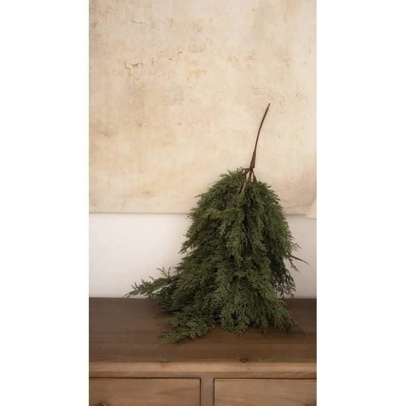 Mazzo Di Rami Di Cipresso Martin By Salvatore Izzo