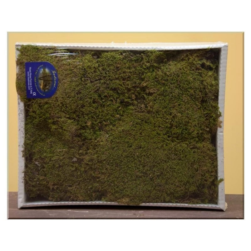 Muschio naturale a tappeto 350 gr. per presepe
