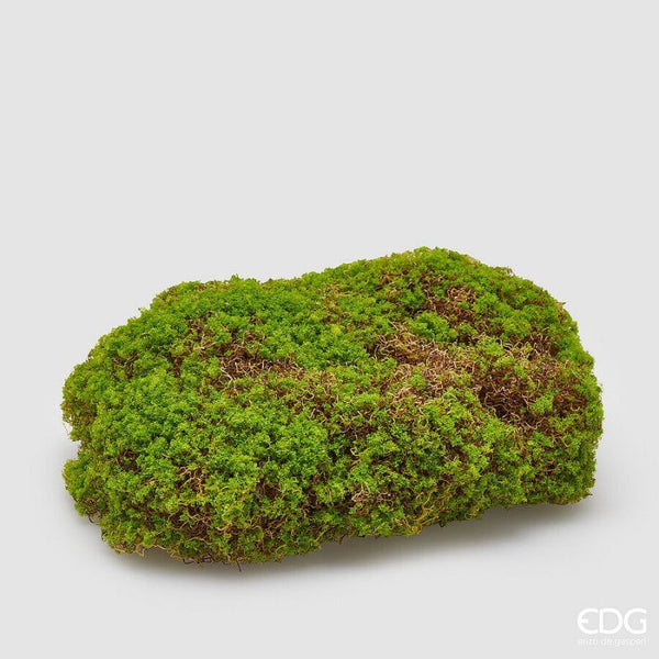 Zolla di Muschio Sintetico| EDG - Perrone Shop