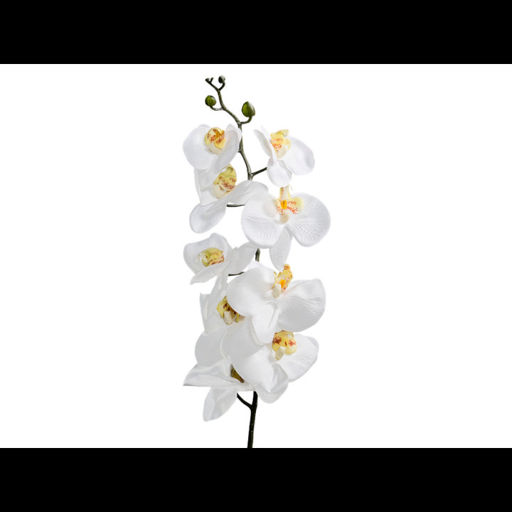 Orchidea h. 102 cm colore bianco