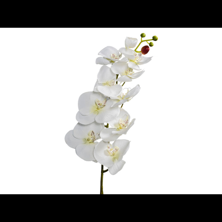 Orchidea h100cm real touch colore bianco