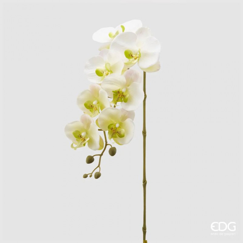 Ramo artificiale Orchidea Phalaenopsis EDG