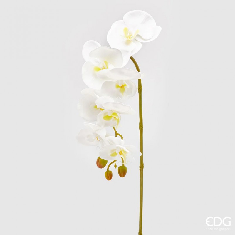 Ramo artificiale Orchidea Phalaenopsis EDG