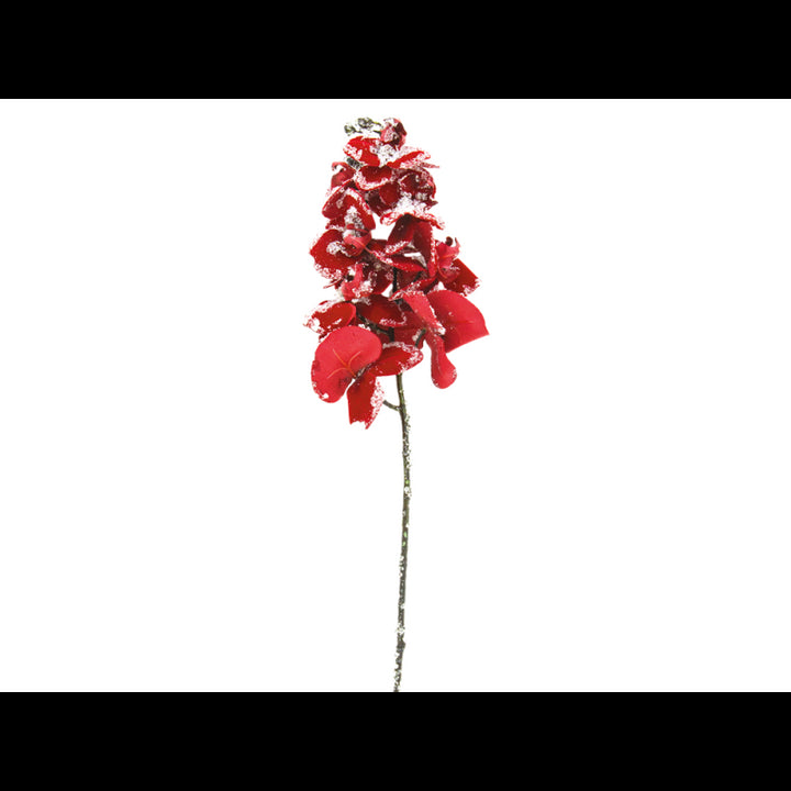 Orchidea rossa vellutata glitterata ghiaccio h75cm