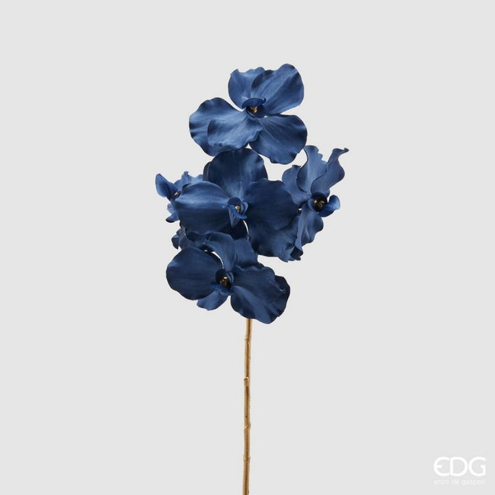Orchidea Vanda Stelo-Oro H59 Blue | Enzo De Gasperi