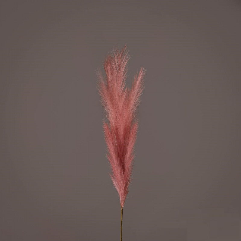 Pampa Ramo H100  (q) Ant.pink